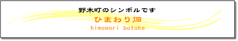 野木町のシンボルです　ひまわり畑