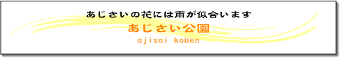 あじさいの花には雨が似合います　あじさい公園