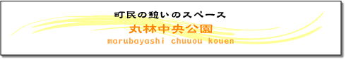 町民の憩いのスペース　丸林中央公園