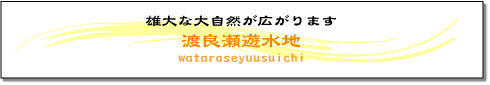 雄大な大自然が広がります　渡良瀬遊水地