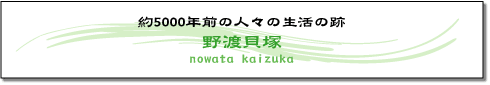約5000年前の人々の生活の跡 野渡貝塚の画像