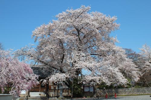 満福寺の写真