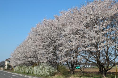 川田