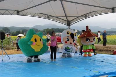益子のひまわり祭り01の画像