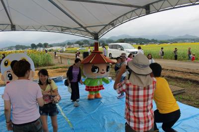 益子のひまわり祭り02の画像