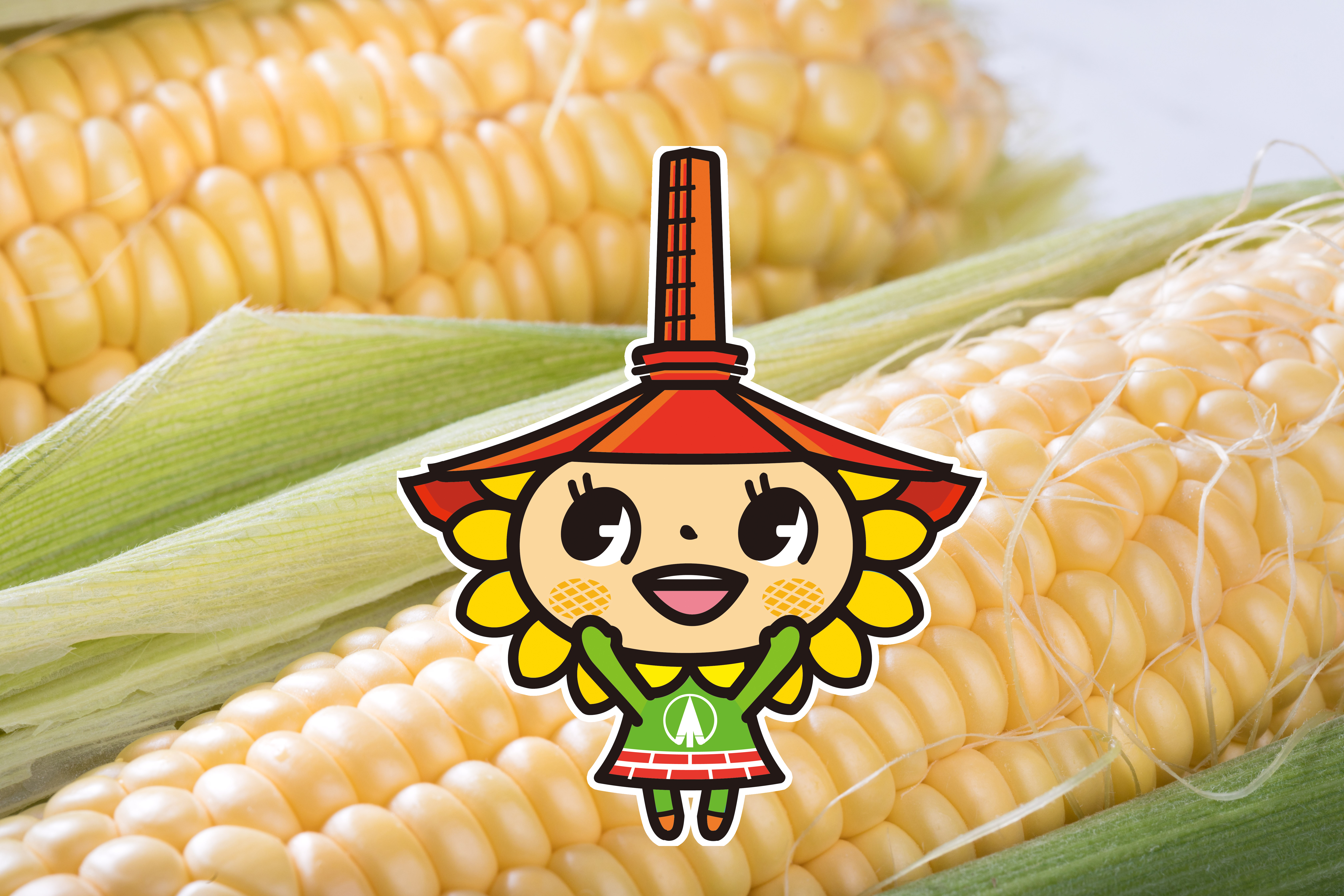とうもろこしのぎのん
