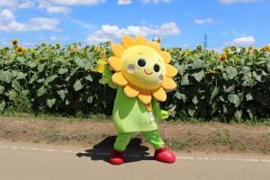ひまわりフェスティバル 野木町公式ホームページ