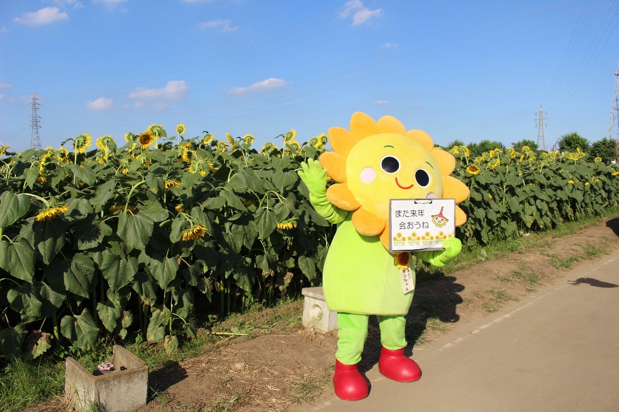 ひまわりフェスティバル 野木町公式ホームページ ひまわりフェスティバル 野木町公式ホームページ