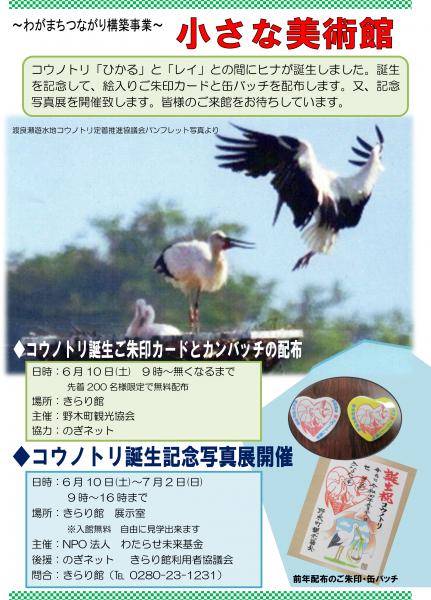 コウノトリ誕生記念写真展