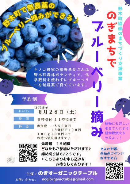 ブルーベリー摘み